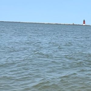 Meet your Posher, Kieu